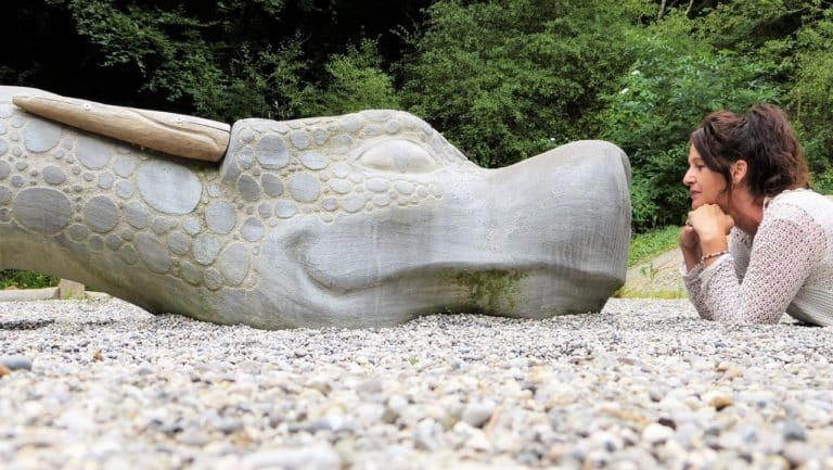 Elèves à besoins particuliers