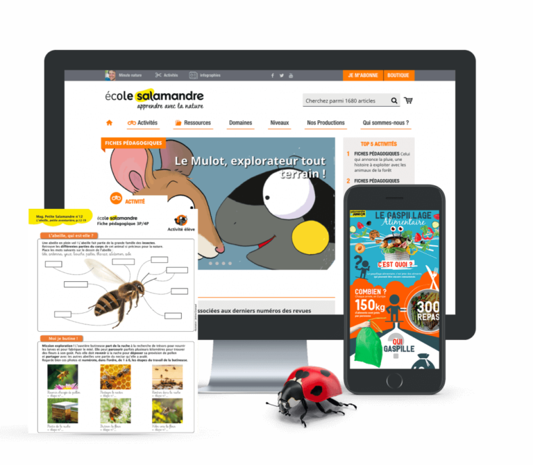 ecole.Salamandre